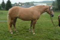 Fony. Pro zv�t�en� klikn�te