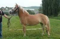 Megan. Pro zv�t�en� klikn�te