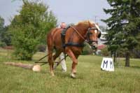 Fiona byla nejlep�� ��astnic� ZV. Pro zv�t�en� klikn�te