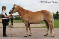 Lentilka. Pro zv�t�en� klikn�te