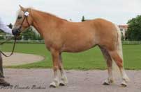 Lota. Pro zv�t�en� klikn�te