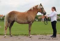 Mia. Pro zv�t�en� klikn�te