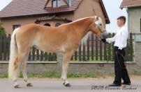 Moneta. Pro zv�t�en� klikn�te