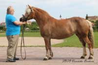 Saly. Pro zv�t�en� klikn�te