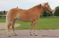 Sany. Pro zv�t�en� klikn�te