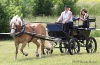 Zkou�ky v�konnosti - Lira. Pro zv�t�en� klikn�te