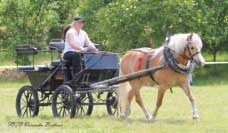 Zkou�ky v�konnosti - Lira. Pro zv�t�en� klikn�te