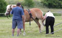 Zkou�ky v�konnosti - Lira. Pro zv�t�en� klikn�te