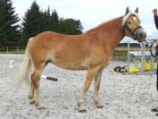 Beta. Pro zv�t�en� klikn�te