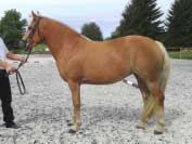 Johanka. Pro zv�t�en� klikn�te