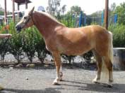 Laura. Pro zv�t�en� klikn�te