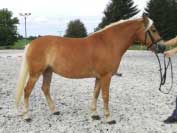 Esme. Pro zv�t�en� klikn�te