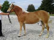 Abby. Pro zv�t�en� klikn�te