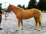 Farida Fenix. Pro zv�t�en� klikn�te