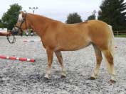 Fate Boom. Pro zv�t�en� klikn�te