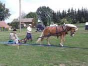 ZV v tahu skl�dala v Kv�tn� Abby. Pro zv�t�en� klikn�te