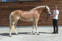 Niva. Pro zv�t�en� klikn�te