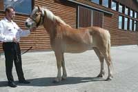 Avanti. Pro zv�t�en� klikn�te