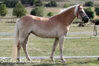 Connie. Pro zv�t�en� klikn�te