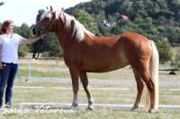 Salunga. Pro zv�t�en� klikn�te