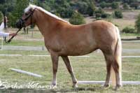 Samanta. Pro zv�t�en� klikn�te