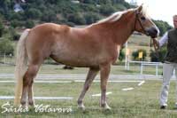 Tam�na. Pro zv�t�en� klikn�te