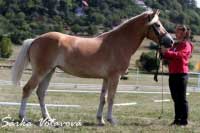 Ester. Pro zv�t�en� klikn�te