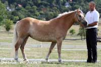 Holi. Pro zv�t�en� klikn�te