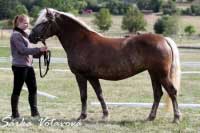 Isabella. Pro zv�t�en� klikn�te