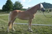 Liebling. Pro zv�t�en� klikn�te