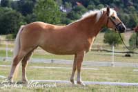 Myrenda. Pro zv�t�en� klikn�te