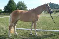 Omira. Pro zv�t�en� klikn�te