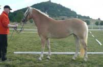 Sagara. Pro zv�t�en� klikn�te