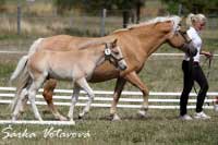 Marliana a Alpenwind Obrok. Pro zv�t�en� klikn�te