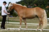 Unadonna. Pro zv�t�en� klikn�te