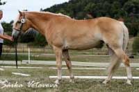 Campbella. Pro zv�t�en� klikn�te