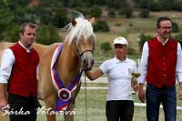 Celkov� v�t�zka v�stavy Bahar s martinou Studni�kovou. Pro zv�t�en� klikn�te