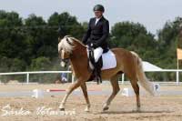 Rudolf Kosta zajel t�et� nejlep�� drezuru. Pro zv�t�en� klikn�te