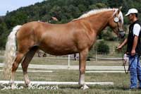 Marja. Pro zv�t�en� klikn�te