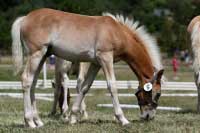 Albert. Pro zv�t�en� klikn�te