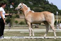 Amediana Obrok. Pro zv�t�en� klikn�te