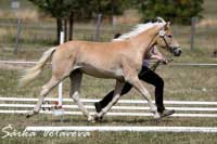 Sina. Pro zv�t�en� klikn�te