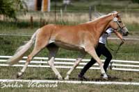 Amelina. Pro zv�t�en� klikn�te