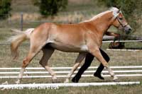 Bahar. Pro zv�t�en� klikn�te