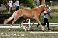 Omira. Pro zv�t�en� klikn�te