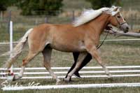 Atlantis. Pro zv�t�en� klikn�te