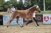 Bahar. Pro zv�t�en� klikn�te