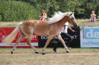 Demelie. Pro zv�t�en� klikn�te