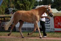 Dior. Pro zv�t�en� klikn�te