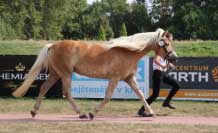 Evita Castanea. Pro zv�t�en� klikn�te